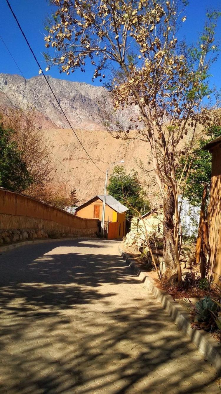 Casa Gabriela, Monte Grande ,Valle De Elqui Bed & Breakfast Exterior photo