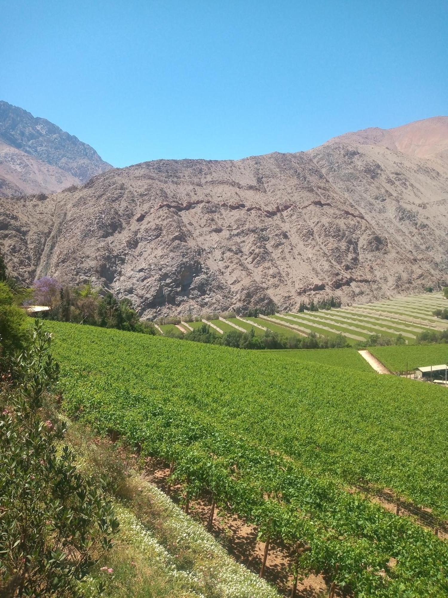 Casa Gabriela, Monte Grande ,Valle De Elqui Bed & Breakfast Exterior photo